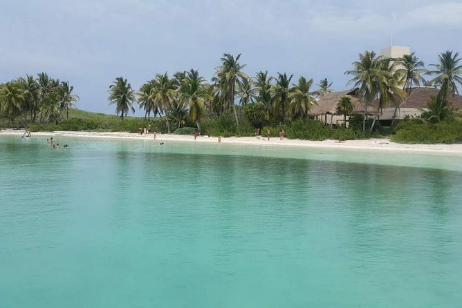 Isla Mujeres Unlimited! Fun & Party With Transportation - What to Expect