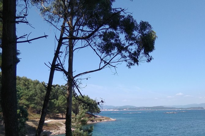 Island of Arousa: Natural Paradise - Pristine Beaches and Turquoise Waters