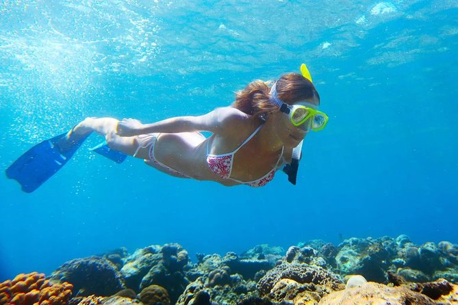 Island Tour With Snorkeling in West Bay Honduras - Included Amenities