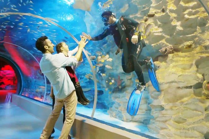 Istanbul Aquarium and Aqua Florya Independent Shopping Trip - Shark and Stingray Encounters