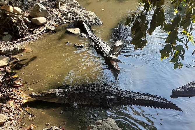 Ixtapa Island Tour - Itinerary