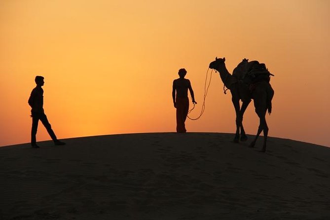 Jeep and Camel Safari With Dinner From Jaisalmer  - Sliven - Camel Ride and Campfire Dinner