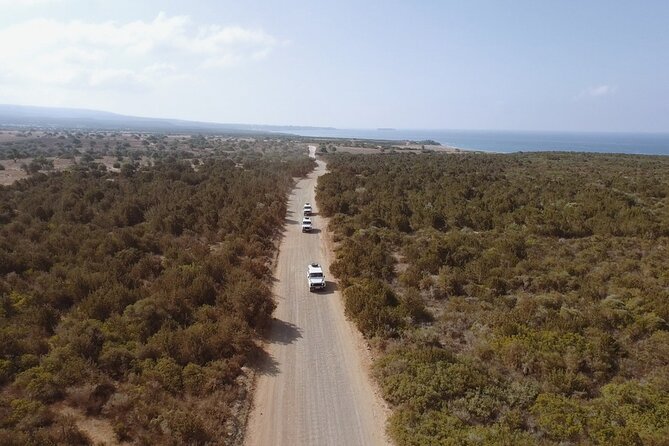 Jeep Safari Akamas Expedition From Limassol - Jeep Safari Experience