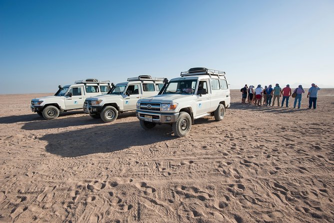 Jeep Super Safari Excursion Sunset, Camel Ride, Bedouin Dinner - Marsa Alam - Pickup and Arrival