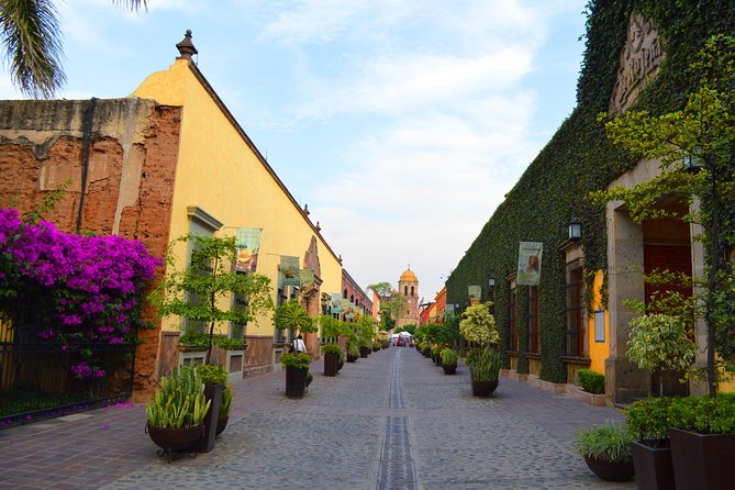 José Cuervo Tequila Day Experience From Guadalajara - Accessibility and Participation