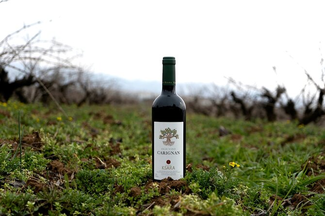 Journey Through Lebanese Wine: A Private Tour in the Beqaa Valley - Crafting Exceptional Wines