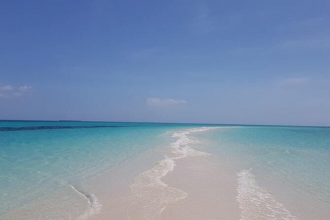 Jozani Forest, Kuza Cave, Paje Beach and The Rock Restaurant - Ratings and Reviews