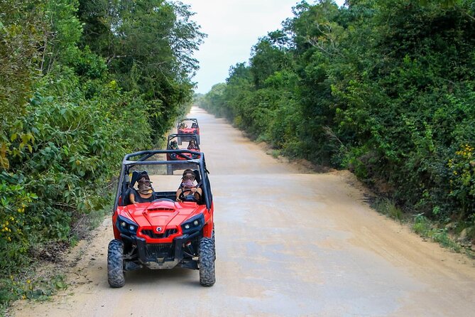 Jungle Buggy Tour From Playa Del Carmen Including Cenote Swim - Whats Included