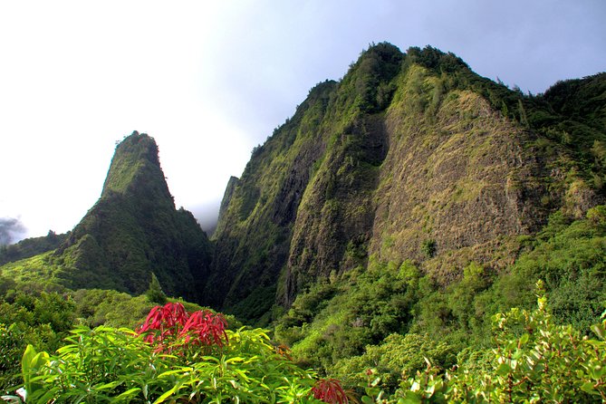 Kahului Shore Excursion: Private Tropics of Maui & Rainforest - Discovering Iao Valley