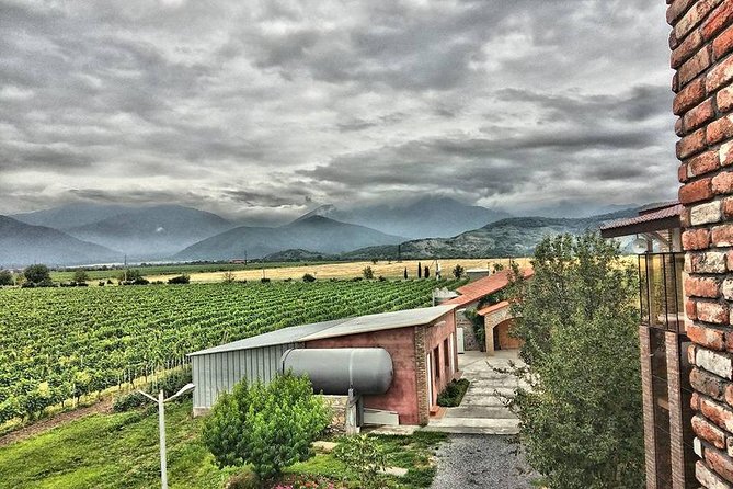 Kakheti-Wine Region Full-Day Superior Private Guided Tour & Organic Wine Tasting - Highlights of the Private Guided Tour
