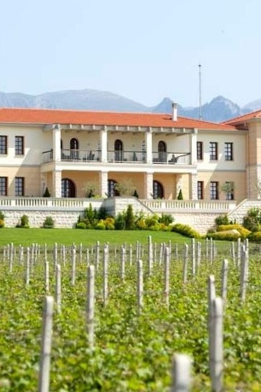 Kavala: Wine Tour - Itinerary and Schedule