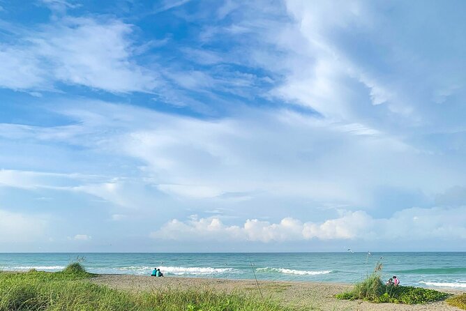 Kayak and Paddleboard Rentals at Siesta Key - Rental Details and Features Offered