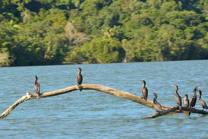 Kayak -Bird Watching Combo Tour From Puerto Quetzal - Package Inclusions