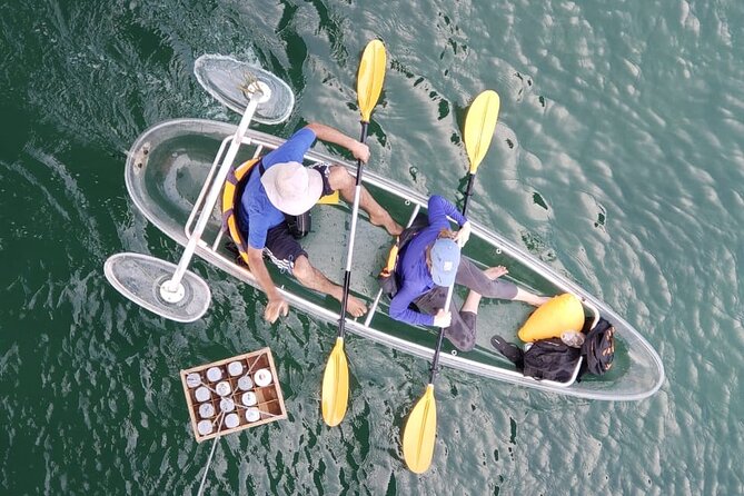 Kayak or Stand Up Paddle in Shkodra Lake and Buna River - Inclusions