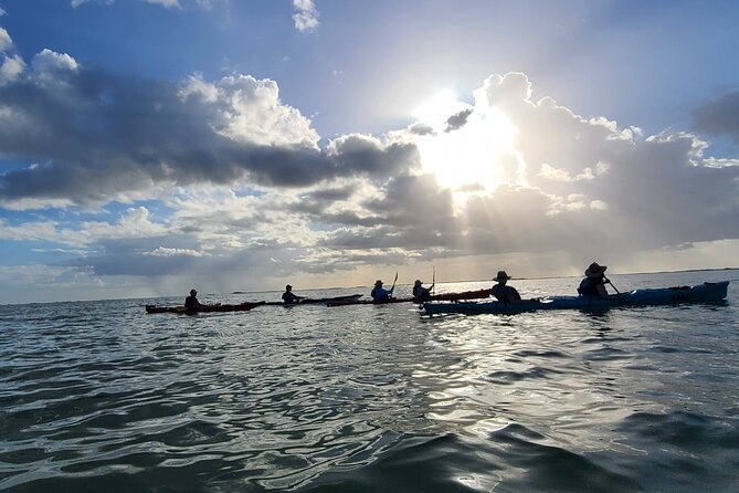 Kayak Sian Ka'an Sunrise Tour - Inclusions