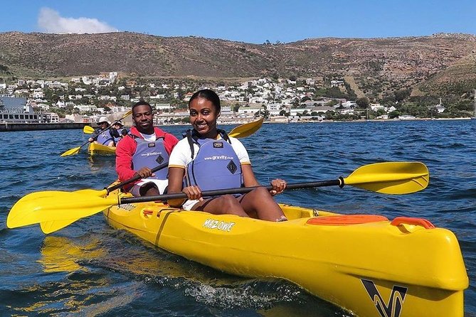 Kayak to the Penguins in Simons Town - Tour Experience and Wildlife Viewing