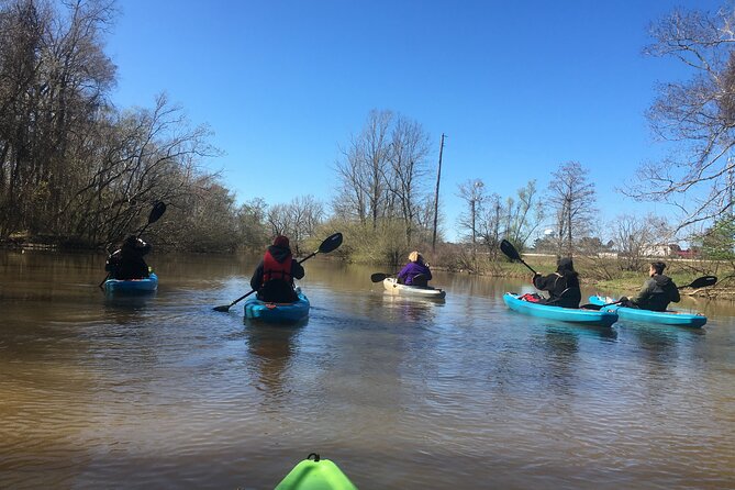 Kayak Tour Of The Honey Island Swamp and Backwaters - What to Expect