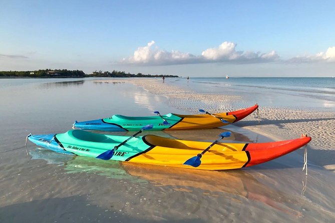 Kayaking Tour Through the Mangroves in Isla Holbox - Tour Requirements and Recommendations