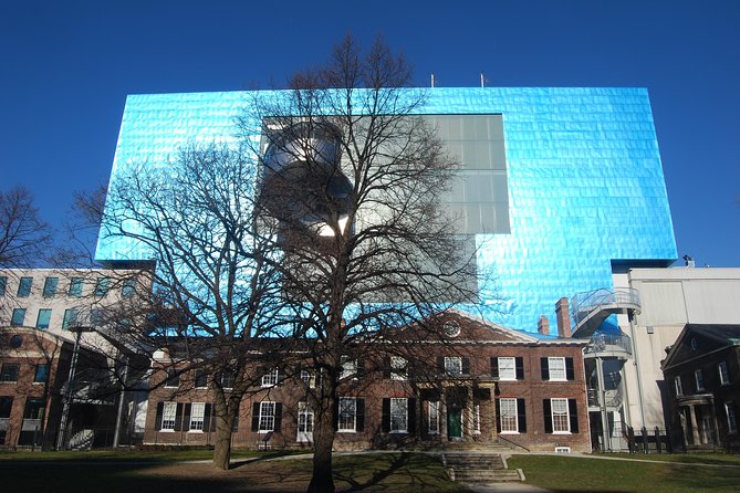 Kensington Market, Chinatown and the Art Gallery of Ontario: A Self-Guided Tour - Tour Features