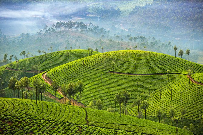 Kerala and Tamil Nadul Dreamscape Journey (South India) - Transportation Options