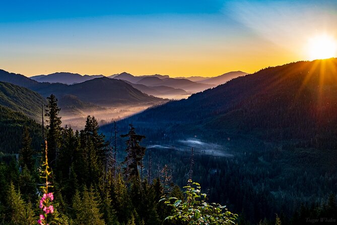 Ketchikan Backcountry Driving Tour Through the Tongass - Transportation and Amenities