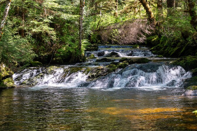 Ketchikan Magical Old-Growth Creek Trek Guided Tour - Preparing for the Ketchikan Adventure