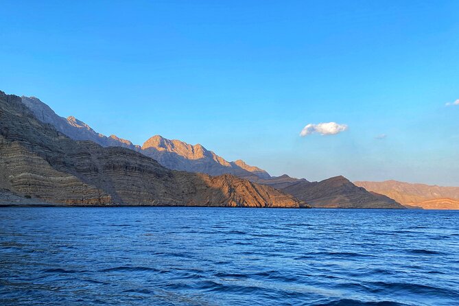 Khasab Half Day Dhow Cruise With Dolphin Watching & Swimming - What to Expect