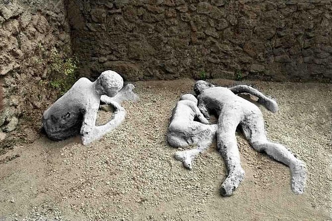 Kids and Family Friendly Pompeii Tour - Inclusions