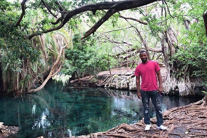 Kikuletwa Hot-spring - Activity Overview and Highlights