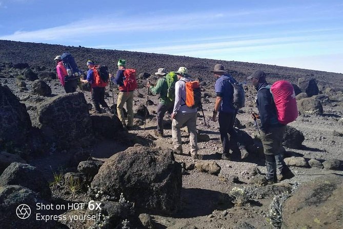 Kilimanjaro Climb- Lemosho Route - Day-by-Day Itinerary