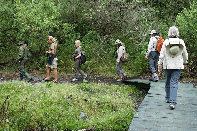 Kilimanjaro Private 2 Days Hiking Tour - Meeting and Pickup