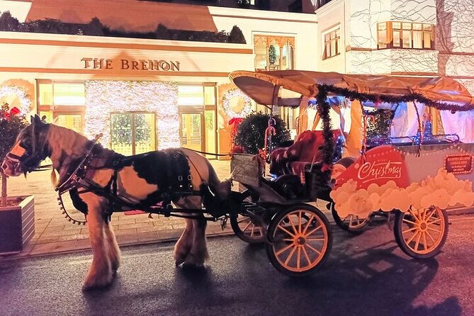 Killarney Sleigh Ride - Activities and Experiences Offered