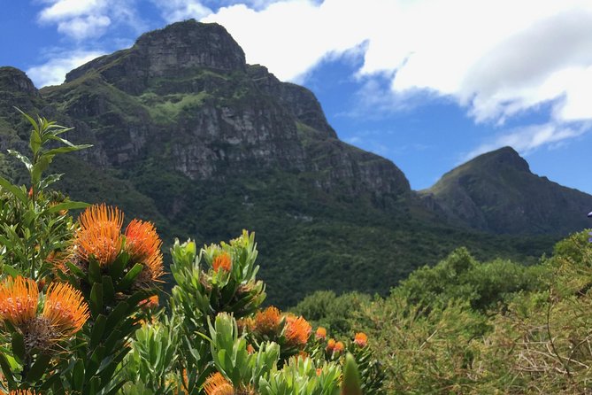 Kirstenbosch National Botanical Gardens: A Self-guided Audio Tour - Pricing and Booking Details