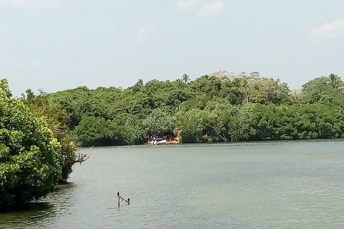 Koggala Lake Boat Tour - Tour Highlights