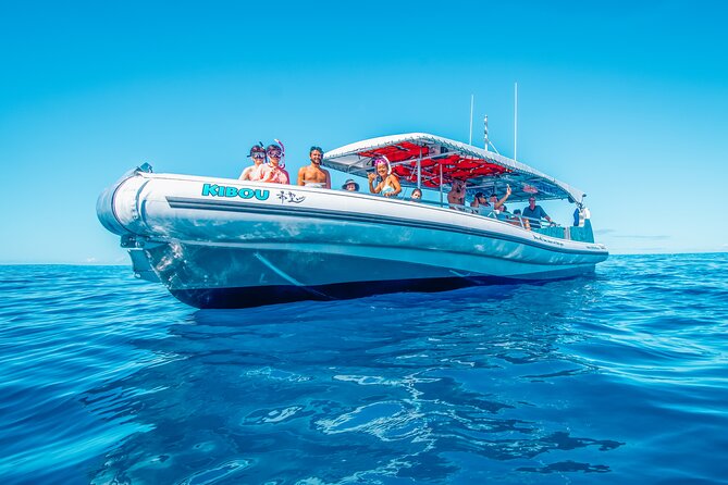 Kona: 3 Hour Dolphin Watch, Reef Snorkel, & BBQ Lunch - BBQ Lunch and Refreshments