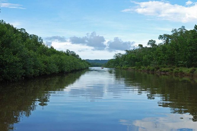 Kota Kinabalu K2 Fireflies Sunset River Cruise Tour With Dinner - Included Services