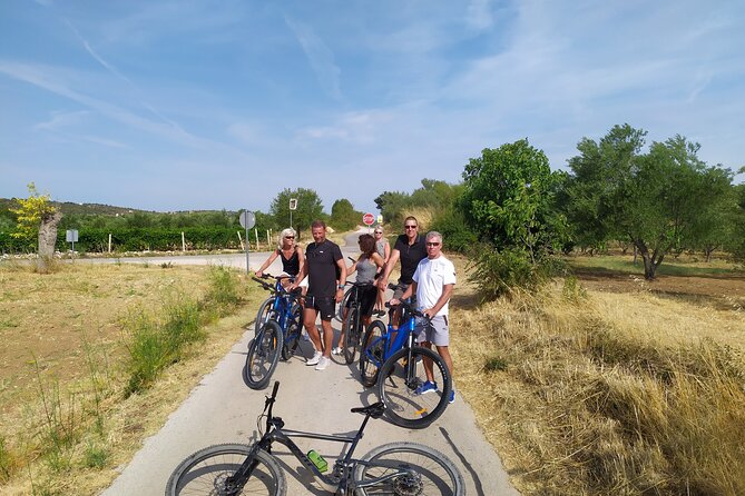 Krka Nationa Park by Electric Bike - Stunning Waterfalls and Landscapes