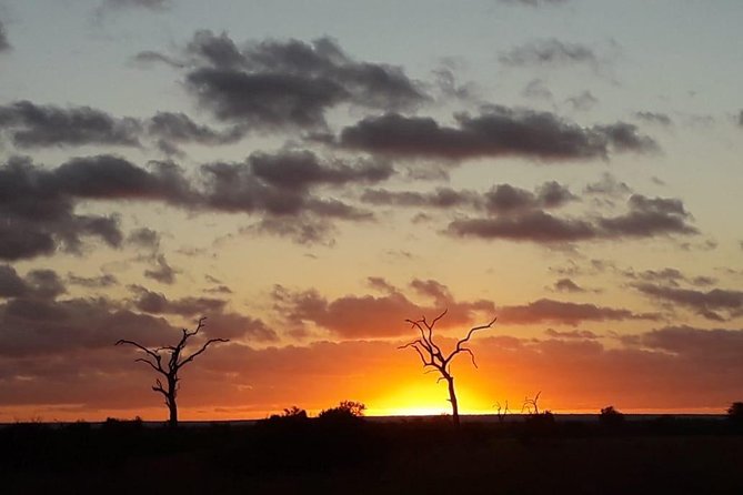 Kruger National Park Night Safari Minimum 4people - Schedule and Meeting Point