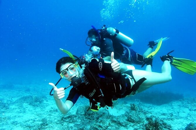 Kusadasi Scuba Diving - Tour Details and Inclusions
