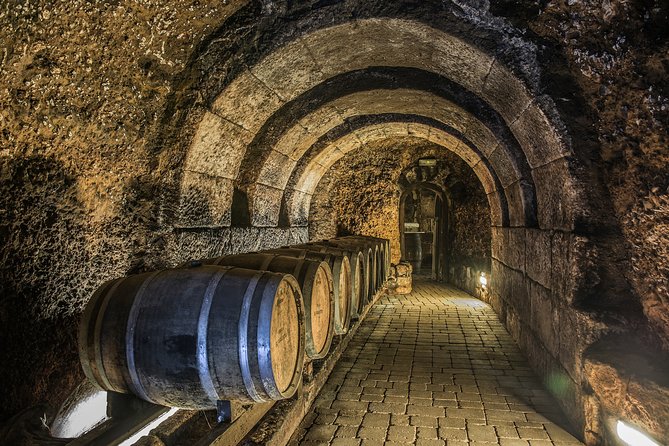 La Rioja Private Winery Visit With Wine Tasting and Lunch - Savor a Local Lunch