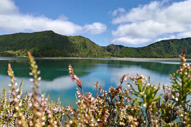 Lagoa Do Fogo Walking Tour With Lunch From Ponta Delgada - Delightful Picnic Lunch by the Lake