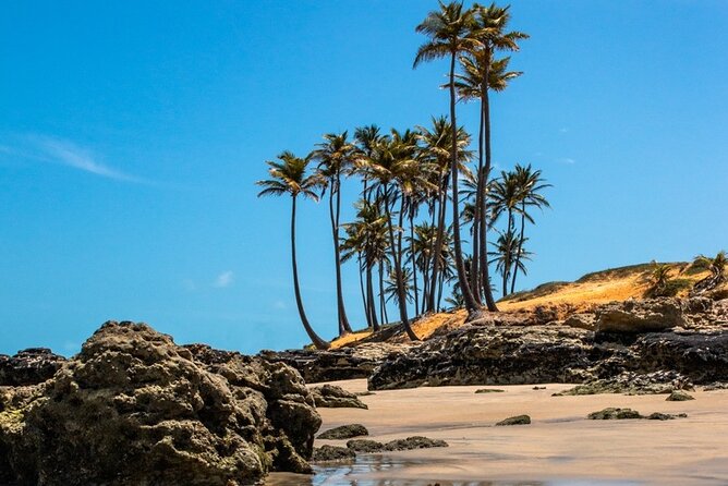 Lagoinha Beach Tour - Optional Activities