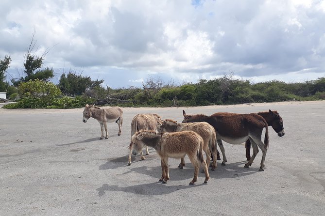 Landmarks of Grand Turk - Positive Experiences