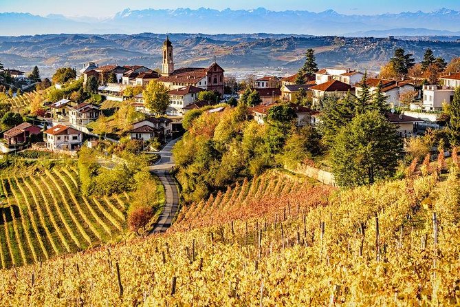 Langhe: Alba & Barolo - The Renowned Barolo Wine
