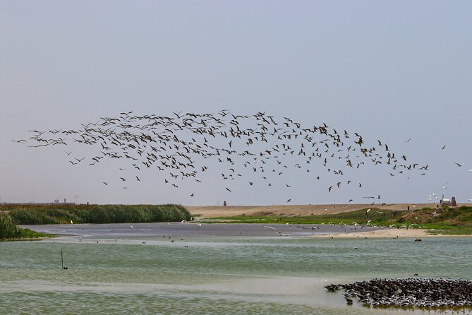 Last Little Wildlife Refuge in Lima - What to Expect