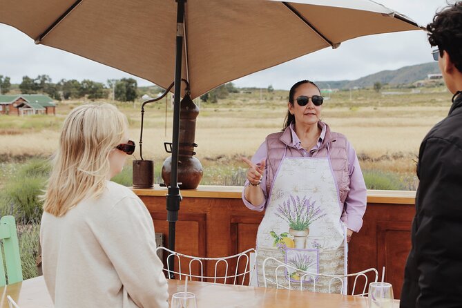Lavender Field Guided Tour - Activities and Offerings