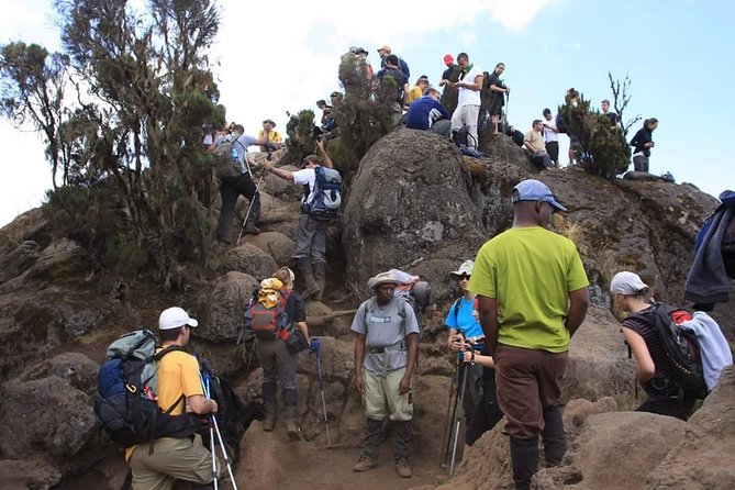 Lemosho Route 8 Days 7 Nights/Kilimanjaro Climb - Itinerary Breakdown