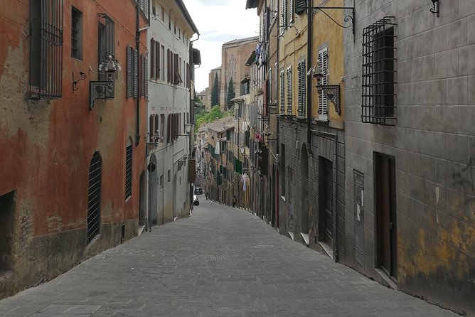 Lets Discover Siena! - Tour the Duomo