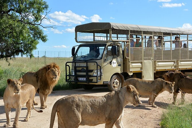 Lion & Safari Park - Overview of Wildlife