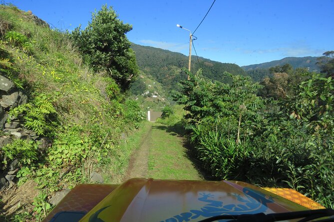 Local Farmers Market and 4WD Experience Review - Pickup Locations and Fees